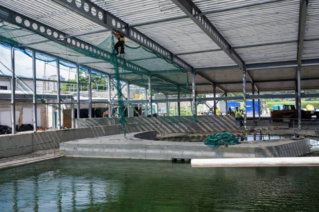 A worker in safety gear installs green netting near the ceiling of a large indoor aquatic facility under construction, with pools of water and several workers in the background.