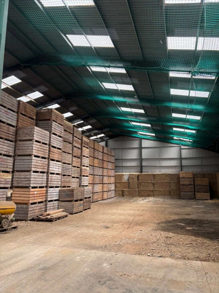 A spacious warehouse with stacks of wooden crates on the left side and large rectangular bales along the back wall. The ceiling has skylights letting in natural light, and the floor is mostly clear.